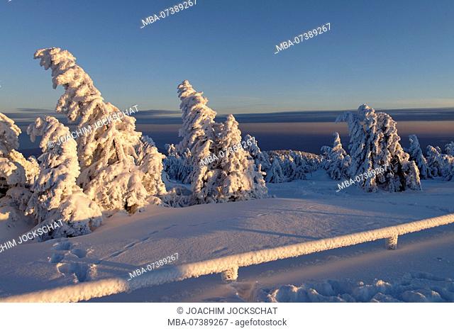 Snowy winter landscape at the summit of the Brocken (1142m) in evening light, Harz, Saxony-Anhalt, Germany