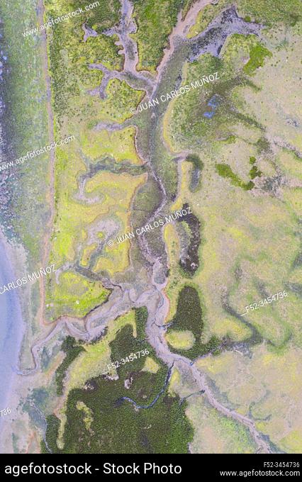Aerial View, Marshes, Ria de Cubas, Miera river, Ribamontan al Mar Municipality, Marina de Cudeyo, Cantabria, Cantabrian Sea, Spain, Europe