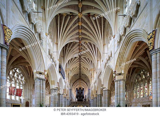 Fan vaulting, nave, The Cathedral Church of St Peter, Exeter, Devon, England, United Kingdom