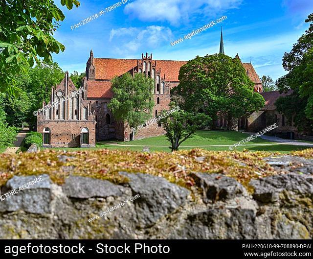14 June 2022, Brandenburg, Chorin: The Chorin Monastery. The history of Chorin Monastery goes back a long time. Today's monument with great charisma beyond the...