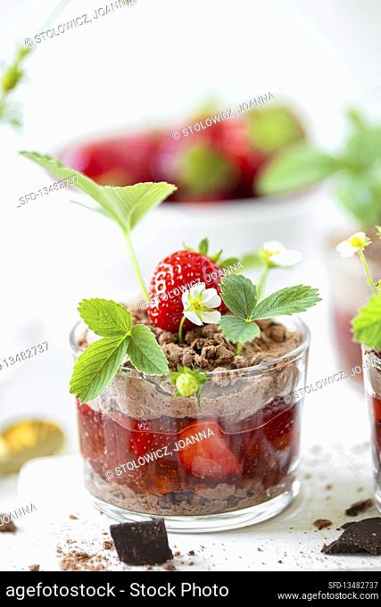 Strawberry jelly with chocolate cream