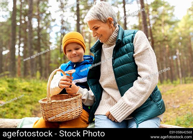 grandmother and grandson with mushrooms in forest