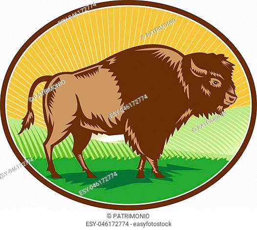 Illustration of an american bison buffalo bull viewed from the side set inside oval shape with sunburst and grass field in the background done in retro woodcut...