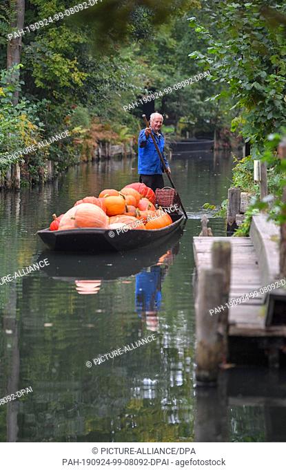 24 September 2019, Brandenburg: Harald Wenske crosses a river with a Spreewald barge full of pumpkins. Autumn is also pumpkin season