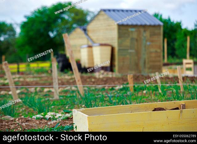 ecological town garden with green plantation growing