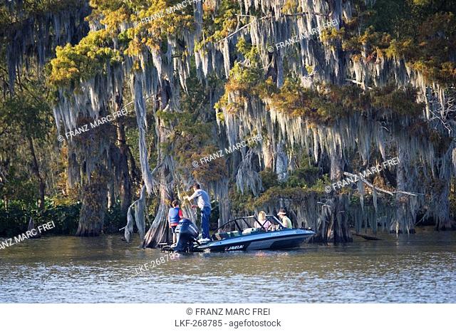 Men fishing close to a cedar tree near Attakapas Landing on Lake Verret, near Pierre Part, Louisiana, USA