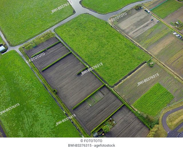 aerial view to typically Dutch field scenery, Netherlands, South Holland, Noordwijk aan Zee
