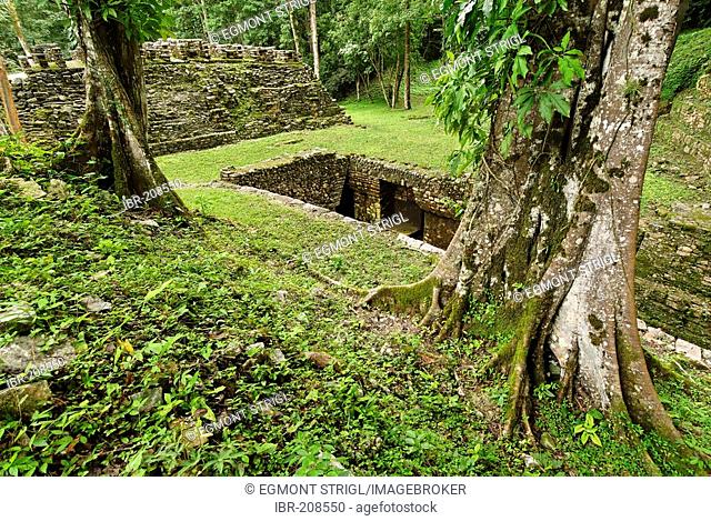 Yaxchilan, Selva Lacandona, Lakandonian Forest, Chiapas, Mexico