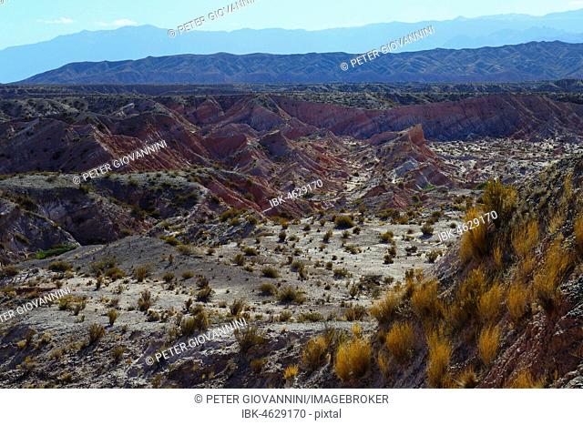Red rock formations los Colorados, Los Cardones National Park, near Cachi, Salta, Argentina