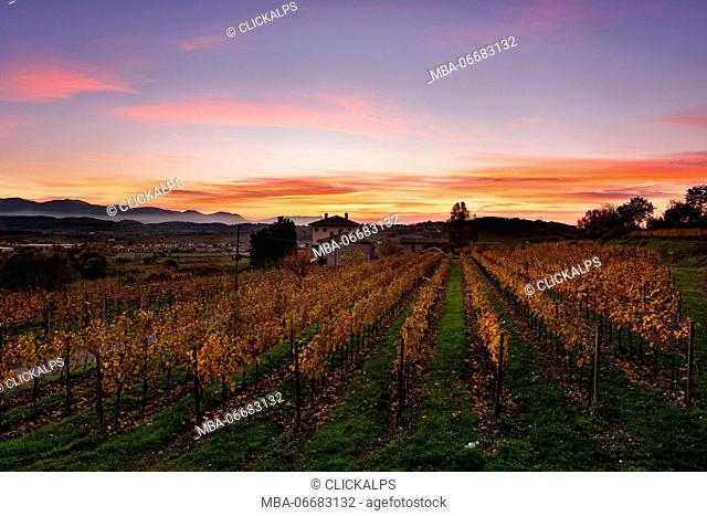 Adro, Franciacorta, Brescia, Lombardy, Italy Sunrise photographed in Franciacorta during autumn 2015. In the foreground vineyards colored orange behind a...