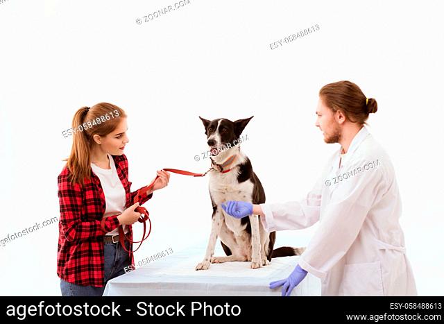 Pet owner holds their dog by their collar at vets office. Dog patient having veterinarian appointment sitting on white table with their owner and male doctor