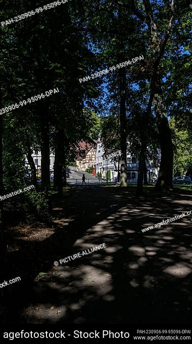 06 September 2023, Saxony, Chemnitz: The warm light of Indian summer falls on the castle district in Chemnitz. The rural idyll between the castle pond and the...