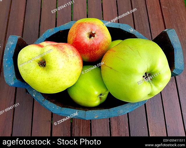 Alte Apfelsorten, verschiedene, Apfel, Malus, domestica, Aepfel