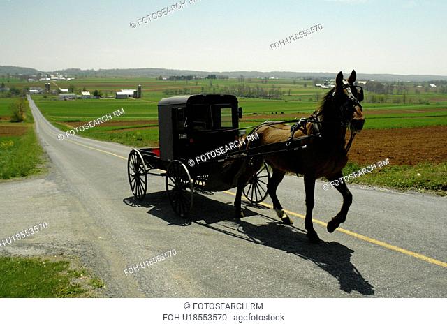 Lancaster County, PA, Pennsylvania, Amish, horse and buggy