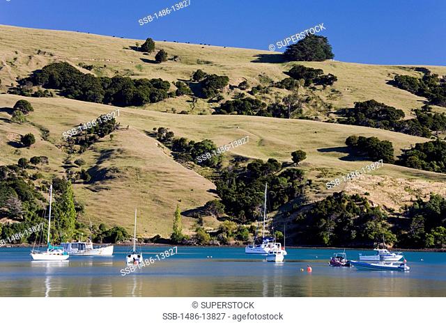 Yachts moored in Children's Bay, Akaroa, Banks Peninsula, Canterbury, South Island, New Zealand