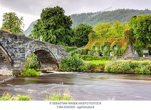 17th century stone bridge over the River Conwy at Llanrwst, with the ivy-clad Tu Hwnt i'r Bont National Trust tearooms on the western side, Llanrwst, Conwy