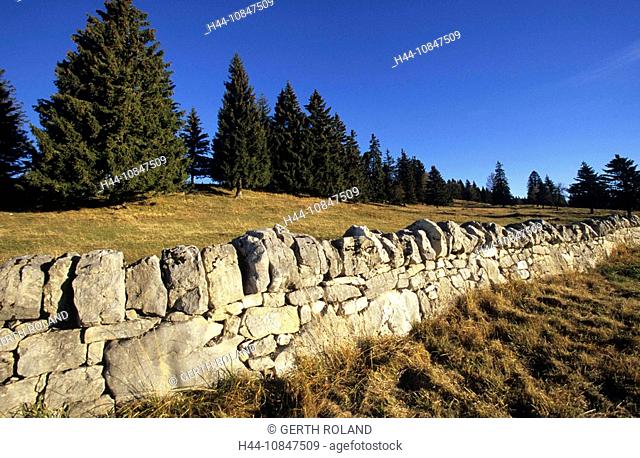 Switzerland, Europe, canton Vaud, Jura mountains, Col du Marchairuz, stone wall, firs, trees, pasture, mountains, moun