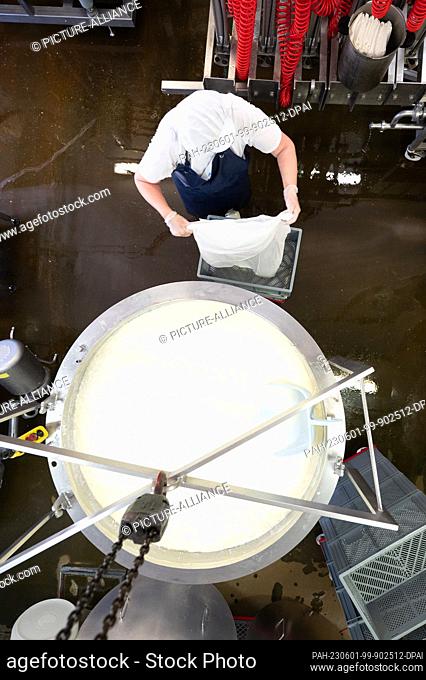 01 June 2023, Saxony, Wittichenau: An employee of Krabat Milchwelt fills fresh quark into quark bags in the show dairy. The occasion is World Milk Day