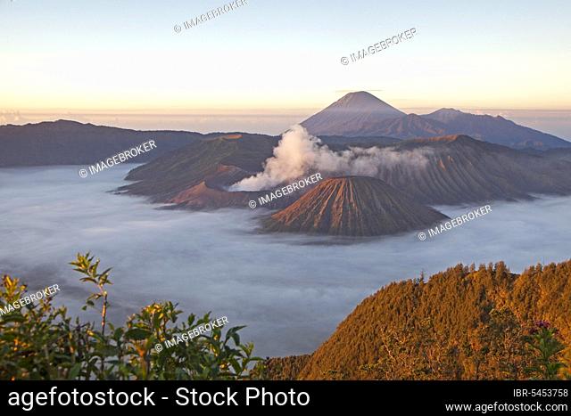 Sunrise over Mount Bromo, Gunung Bromo, active volcano and part of the Tengger massif, East Java, Indonesia, Asia