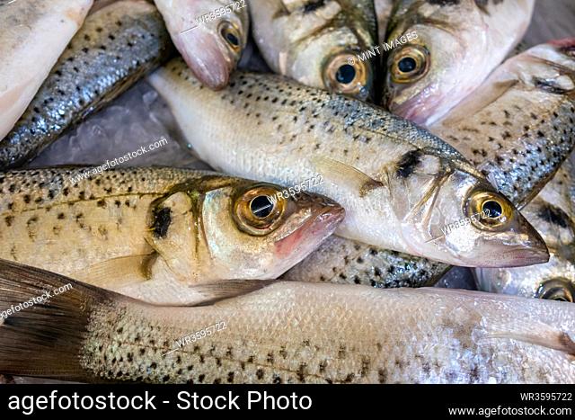 Fresh fish in market in The Algarve, Portugal