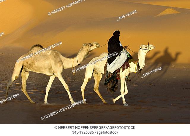 Tuareg; Tuareg is riding a Camel; Tuareg Caravan; Libyan Desert; Libyan Arab Jamahiriya