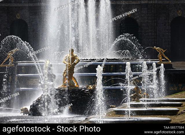 RUSSIA, ST PETERSBURG - APRIL 22, 2023: A view shows the Samson Tearing Apart the Lion's Jaws fountain in the Lower Park during the beginning of the fountain...