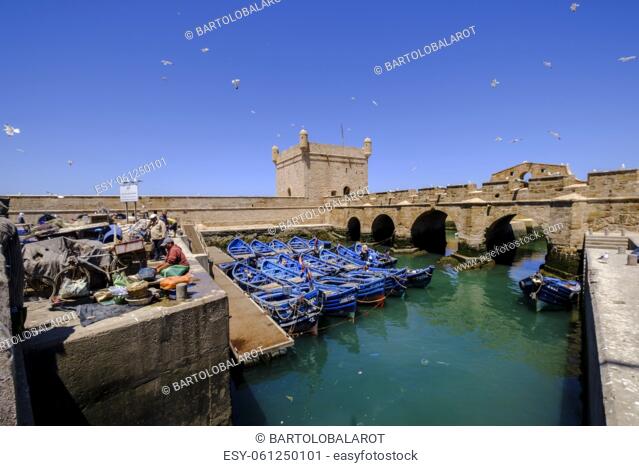 Castelo Real at fishing port, old portuguese fortress, Essaouira, morocco, africa