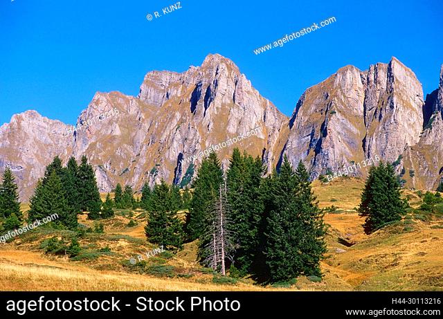 Alp Plafries, Chli Alvier, Berg, Alpen, Kanton St. Gallen, Schweiz