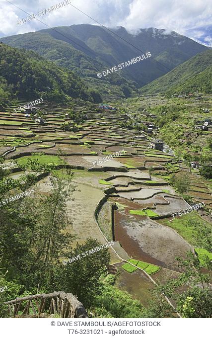 The beautiful UNESCO rice terraces in Hapao, Banaue, Mountain Province, Philippines