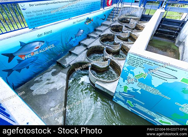 04 October 2022, Mecklenburg-Western Pomerania, Wismar: The meander fish pass at the Mühlenteich designed with pictures. The fish pass at the Wallensteingraben...