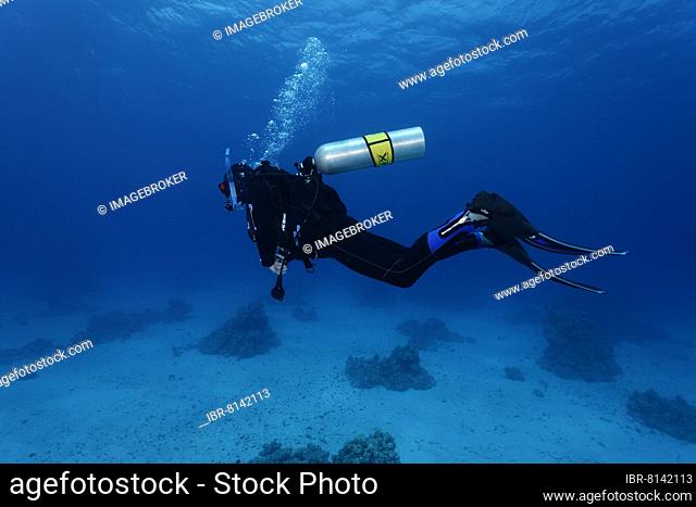 Diver, loose scuba, Nitrox, Port Safaga, Red Sea, Egypt, Africa