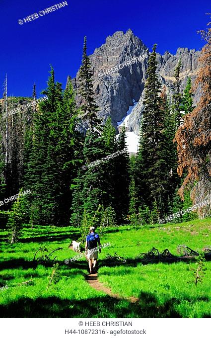 Man and Dog hiking on trail, Canyon Creek Meadows Trail, Mount Jefferson Wilderness, nature, Central Oregon, Sisters, Oregon, USA