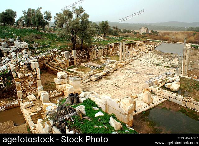 Colonnade street and ruins in Patara, Turkey