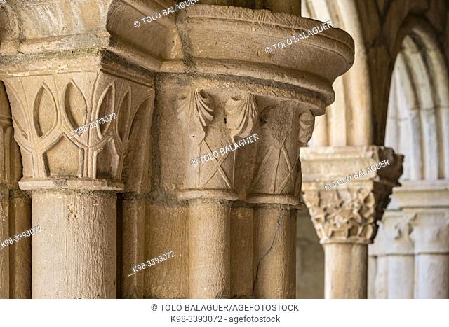 Monasterio de Santa María la Real de Iranzu, claustro, siglo XII - XIV, camino de Santiago, Abárzuza, Navarra, Spain, Europe