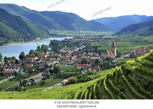 View of Weissenkirchen in der Wachau and the Danube river, Wachau Cultural Landscape (UNESCO World Heritage List, 2000), Lower Austria, Austria