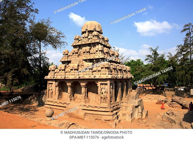 Dharmaraja Ratha and Pancha Rathas carved during the reign of King Mamalla (Narasimhavarman I; c. 630 - 670) Monolith rock carving temples ; Mahabalipuram ;...