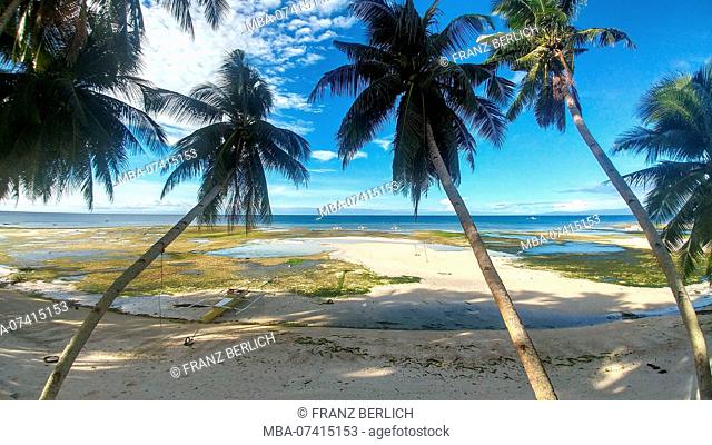 Sandy beach on Siquijor Island, Philippines