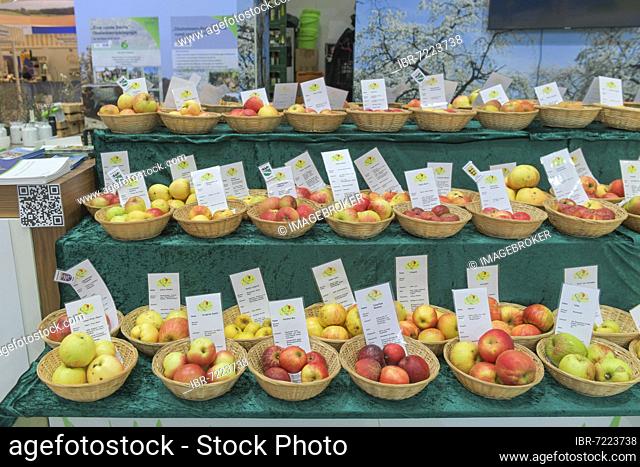 Biological Station in the Rhine-Sieg District. Apples Diversity, Green Week, Fair, Berlin, Germany, Europe