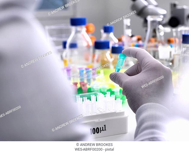 Biotechnology Research, Scientist viewing specimens in a vial during an experiment in the laboratory