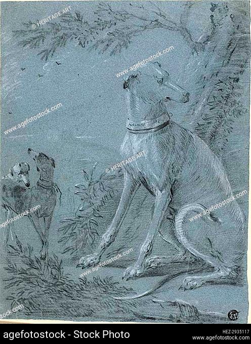 Seated Hound Beside Trees, n.d. Creator: Unknown