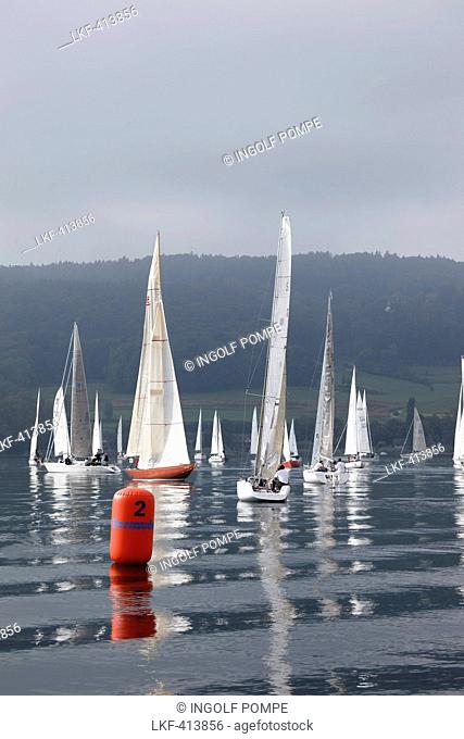 Sailing competion, Sailingclub Oberstaad, near Wangen, Hoeri, Lake of Constance, Baden-Wurttemberg, Germany