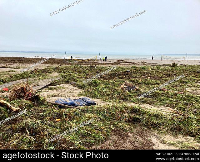21 October 2023, Schleswig-Holstein, Eckernförde: The storm surge washed up large quantities of seaweed and other plants
