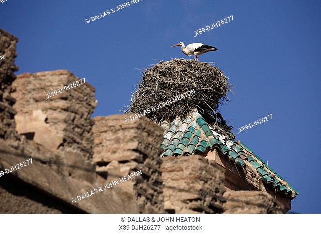 Africa, North Africa, Morocco, Marrakech, Lower Medina, Kasbah, Palais el Badi, Nesting Storks