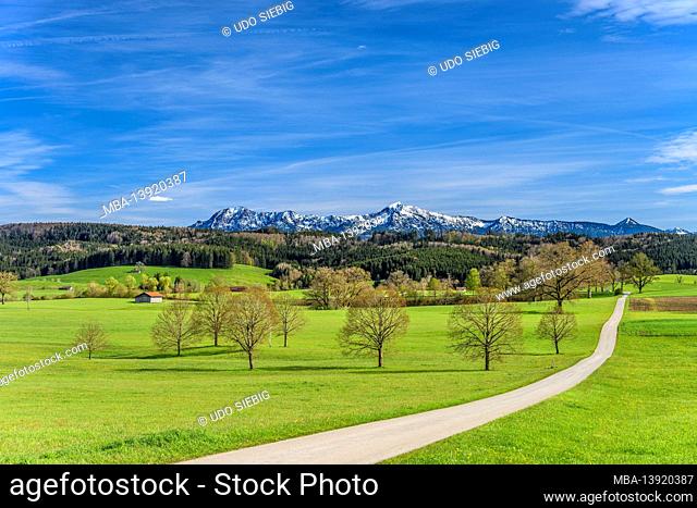 Germany, Bavaria, Upper Bavaria, Pfaffenwinkel, Obersöchering, spring landscape near Habaching against the foothills of the Alps with Herzogstand and Heimgarten