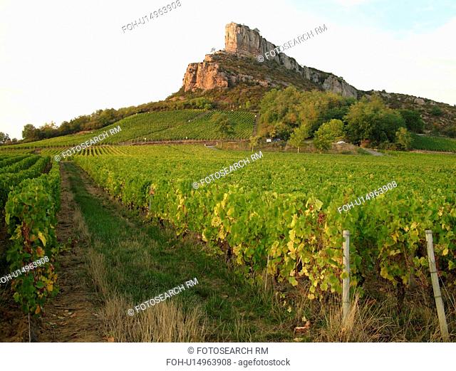 France, Solutre, Soane et Loire, Europe, Beaujolais Region, Pouilly Fuisse Region, La Roche De Solutre, vineyards, wine producing region