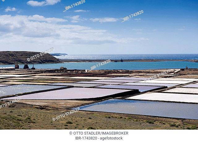 Sea salt refinery, pools of brine, Salinas de Janubio, Lanzarote, Canary Islands, Spain, Europe