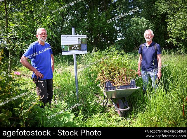 PRODUCTION - 31 May 2023, Hamburg: Martin Beckers (l), perennial gardener, and Gerwin Obst, Elbe Habitat Foundation, plant hemlock water fennel in a tidal creek...