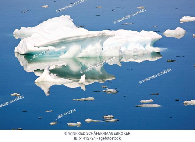 Ice floes in the Sermilik fjord, Ammassalik district, East Greenland, Greenland, Denmark