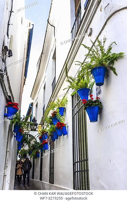 Cordoba, Spain - Dec 2018: White walls and blue flower pots at Calleja de las Flores (The Street of Flowers)
