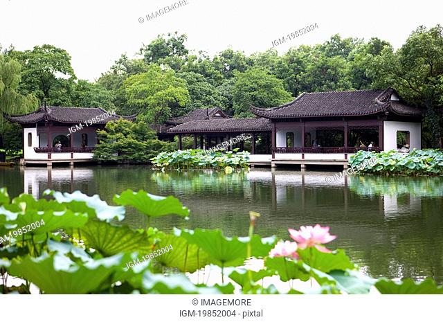 Lotus Stirred by Breeze in Quyuan Garden in West Lake, Lotus Stirred by Breeze in Quyuan Garden